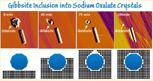 Fine gibbsite immobilisation in a fast growing sodium oxalate crystal. Credit: Weng Fu and ANFF-Q. This image was previously published in Crystal Growth & Design